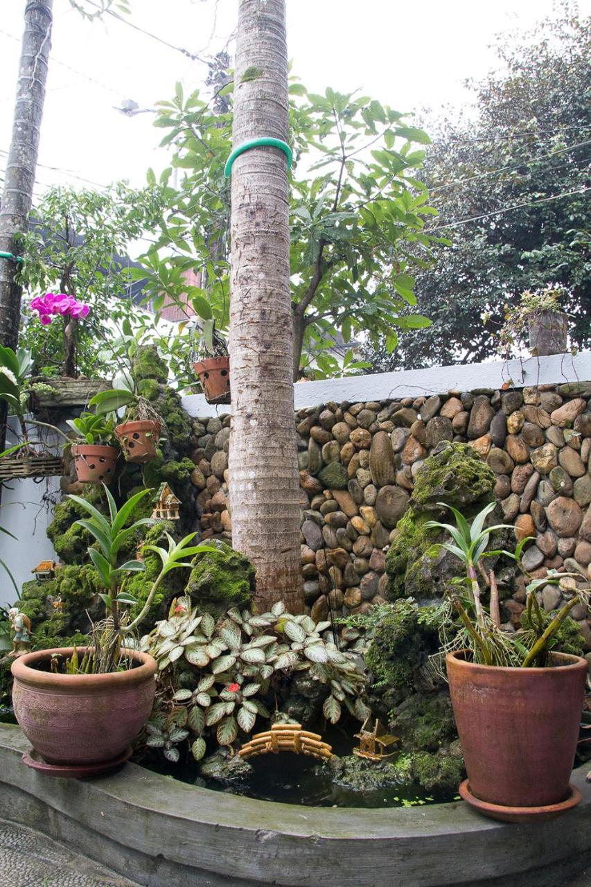 Kota'S House Homestay Hue Exteriör bild