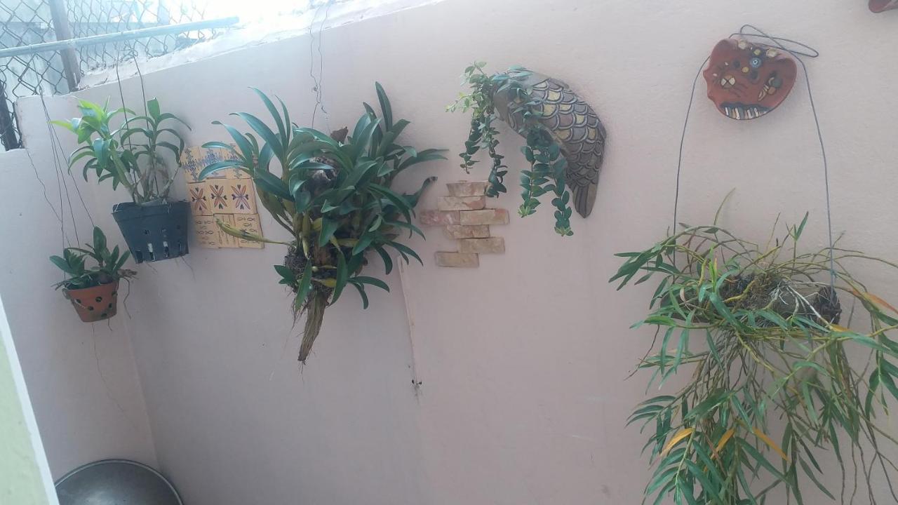 Kota'S House Homestay Hue Rum bild