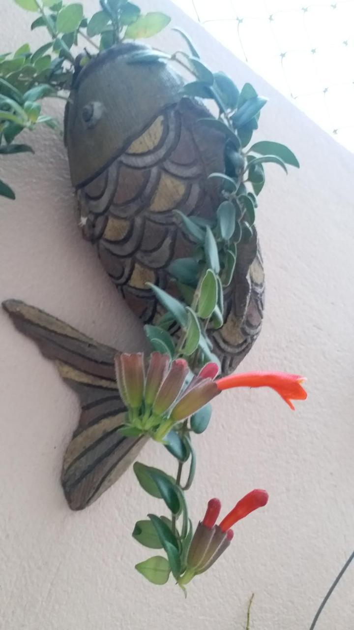 Kota'S House Homestay Hue Rum bild