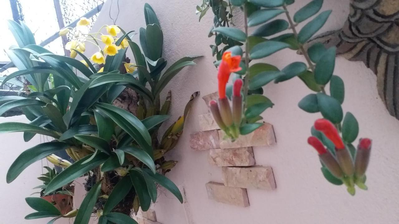 Kota'S House Homestay Hue Rum bild